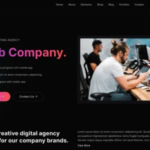 Digital Consulting Agency - WordPress Website