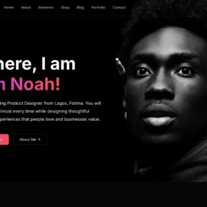 Freelancer Portfolio - WordPress Website