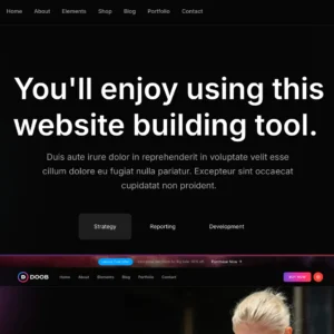 SaaS Landing Page - WordPress Website