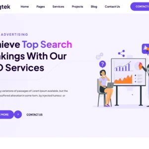 SEO & Digital Marketing Agency - WordPress Website