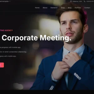 Web Consulting Experts - WordPress Website