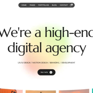 High-End Digital Agency - WordPress Website