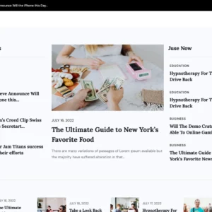 Daily News & Media Portal - WordPress Website