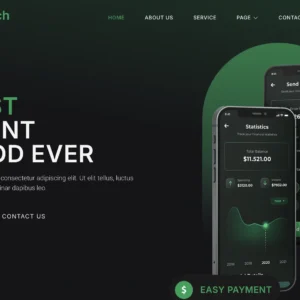 Fintech Solutions & Payment Systems - WordPress Website