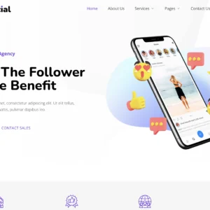 Social Media Agency & Management - WordPress Website