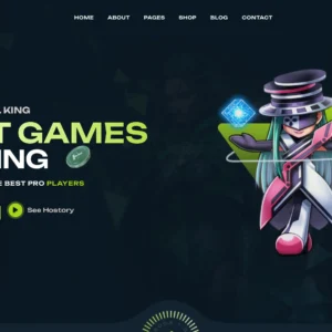 Play-to-Earn NFT Gaming – WordPress Website