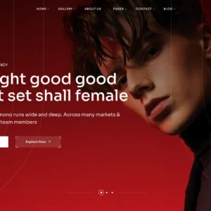 Photography Agency - WordPress Website