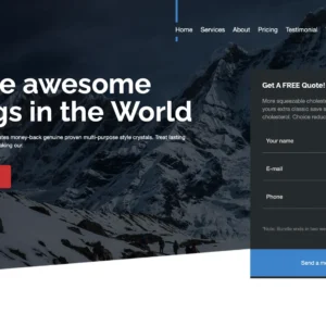 Social Media & App Promotion - WordPress Website