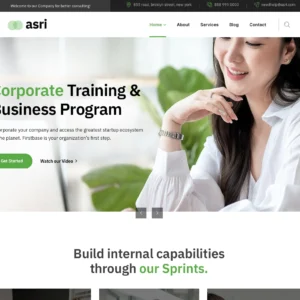 Startup Consulting - WordPress Website
