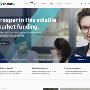 Global Business Consulting - WordPress Website