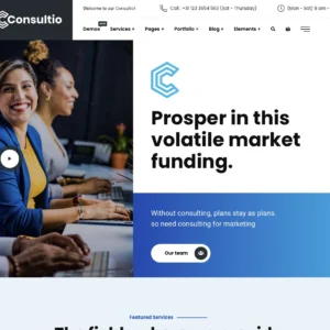 Modern Growth Consulting - WordPress Website