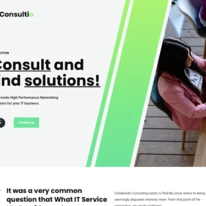 Smart IT Solutions - WordPress Website