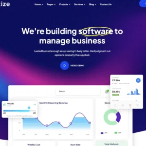 Modern Software Solutions - WordPress Website