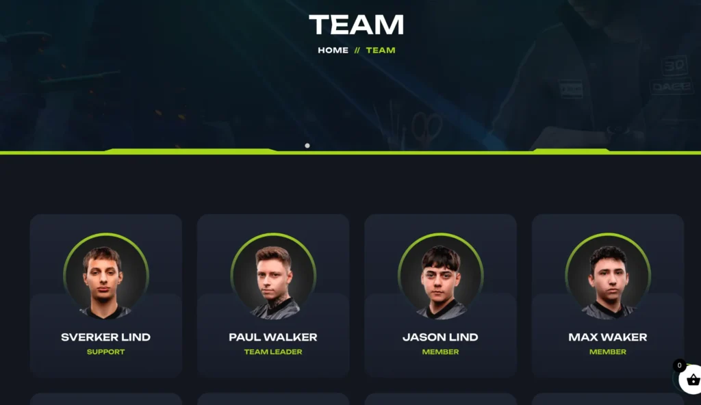 gaming-team-member-section-wordpress