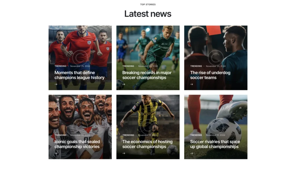 up1302-football-championship-site-wordpress-website-6