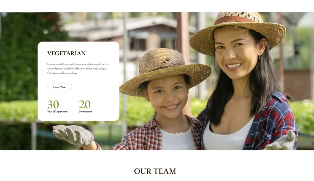 up1468-healthy-vegetarian-meals-wordpress-website-6