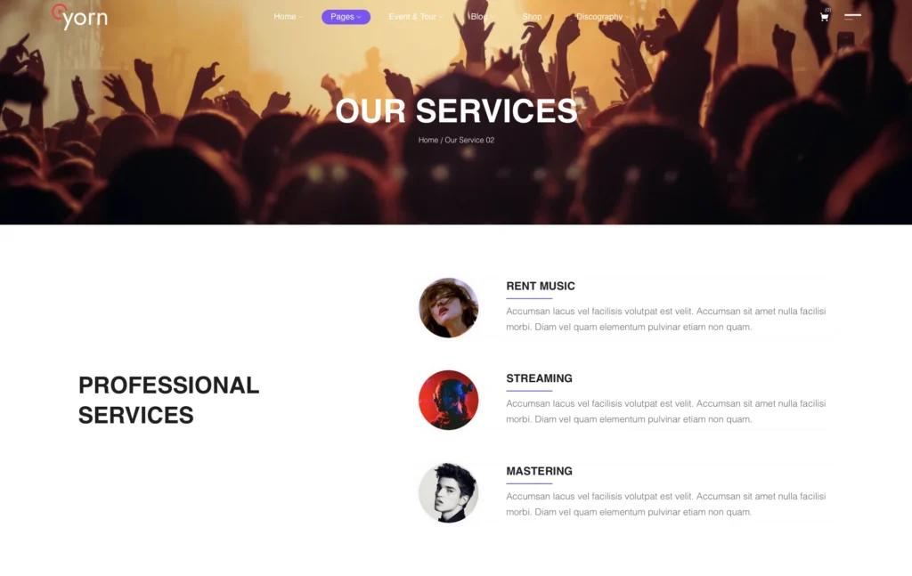 up1558-music-blog-wordpress-website-8