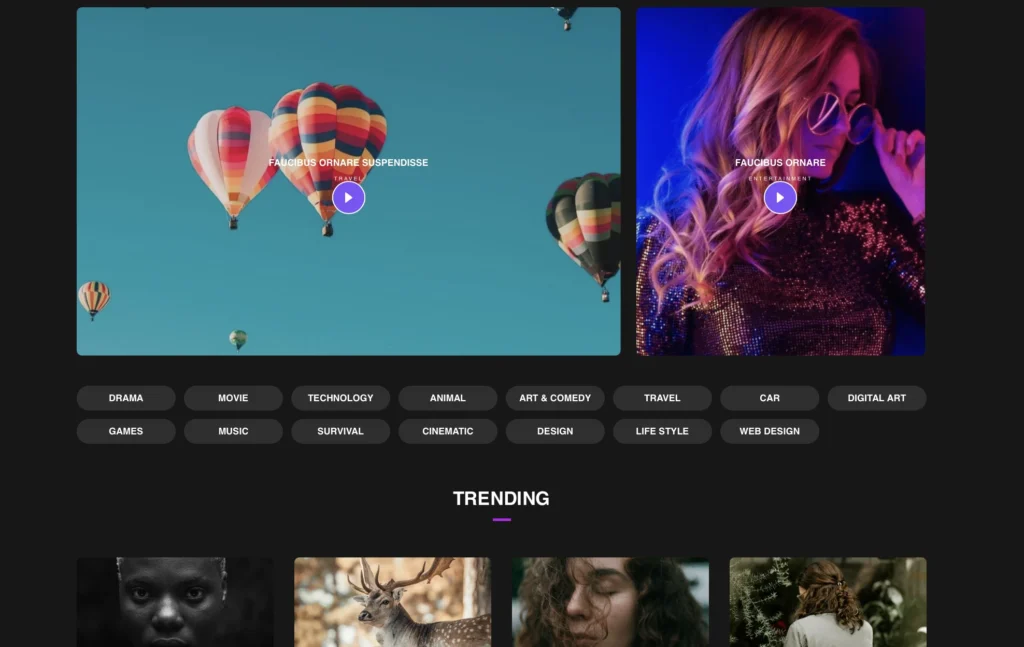 up1561-video-tuber-demo-wordpress-website-8