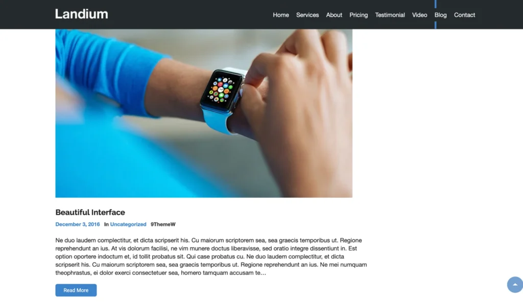 wordpress-blog-detail-smartwatch-ui