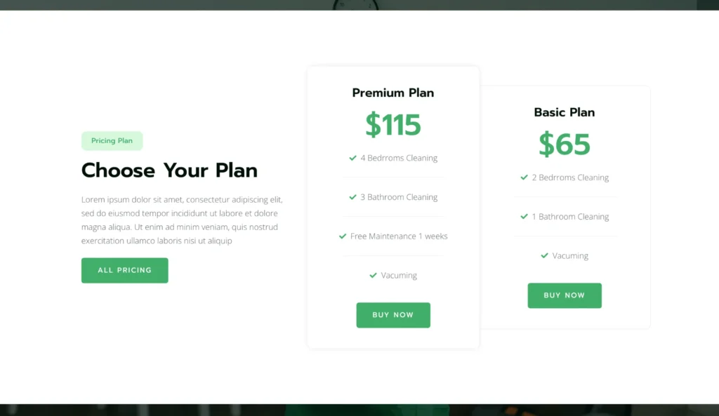 wordpress-cleaning-pricing-options-section